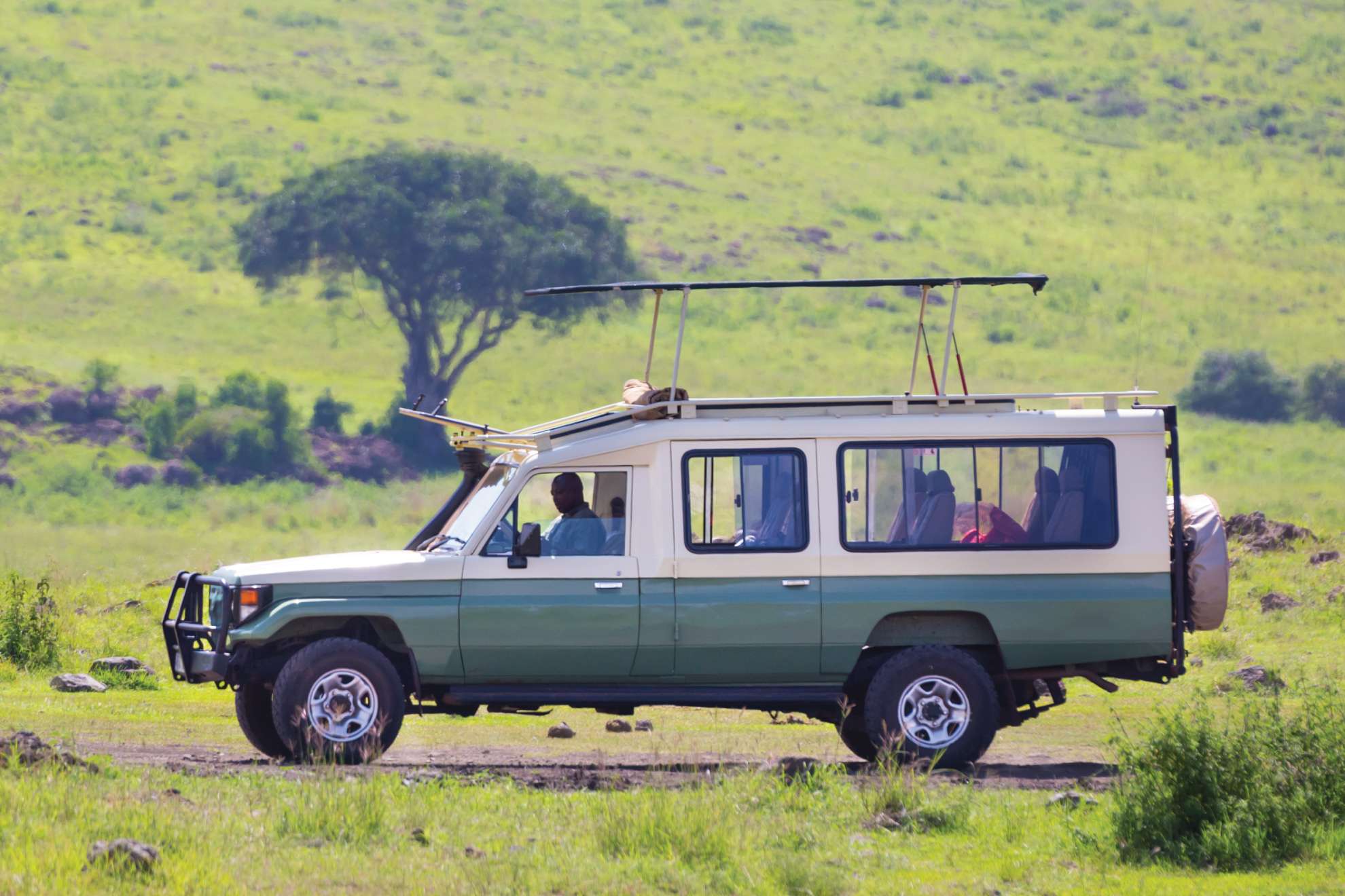 Maasai Boy Adventures - Safari | Game drive Jeeps