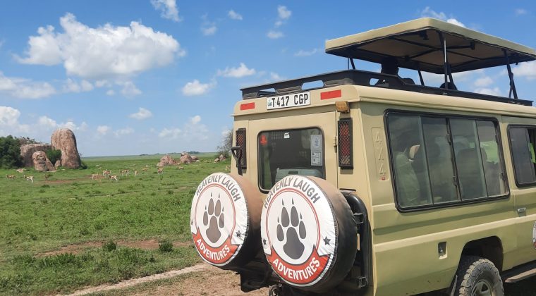 Tour Agency | Travel Agency | Tanzania Safari | Zanzibar Holiday | Kilimanjaro Trekking - Heavenly Laugh Adventures