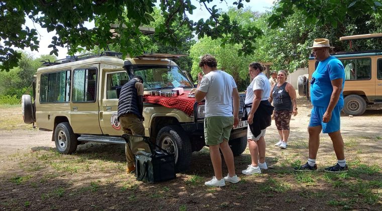 Tour Agency | Travel Agency | Tanzania Safari | Zanzibar Holiday | Kilimanjaro Trekking - Heavenly Laugh Adventures