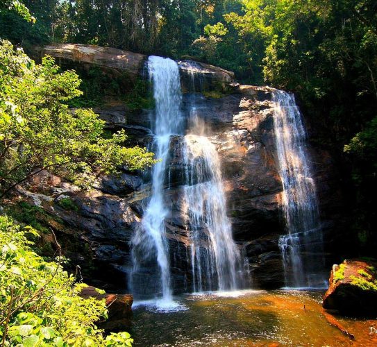 Udzungwa Mountains