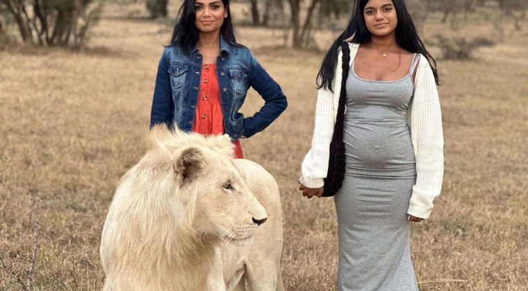 Tour Agency | Travel Agency | Tanzania Safari | Zanzibar Holiday | Kilimanjaro Trekking - Heavenly Laugh Adventures